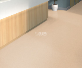 Tarkett iq Melodia 2644 фото 2 | FLOORDEALER